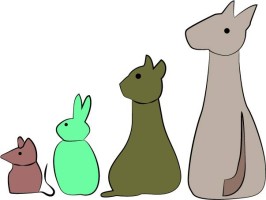 Clinique Vétérinaire de la Tour